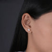 Classic Diamond CZ Rose Gold Stud Earrings