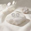 Marquise Leaf Circle Diamond 925 Sterling Silver Stud Earrings for Women
