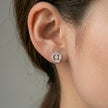 Marquise Leaf Circle Diamond 925 Sterling Silver Stud Earrings for Women