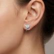 Silver Rose Diamond 925 Sterling Silver Stud Earrings for Women
